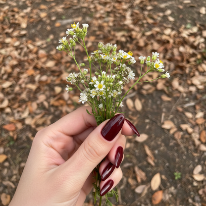 Natural Hand with Flowers